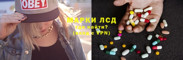 прущие грибы Богородицк