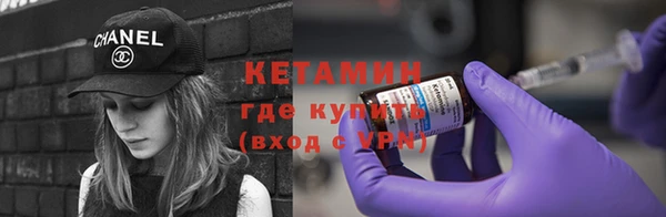 прущие грибы Богородицк
