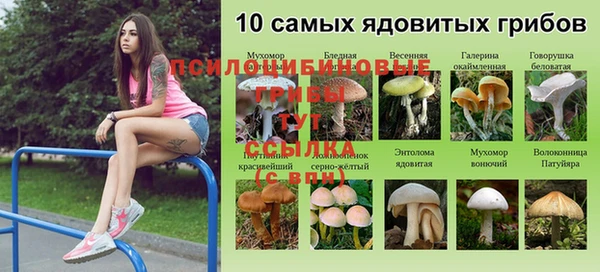 кокс Беломорск