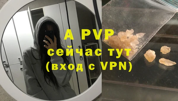 прущие грибы Богородицк